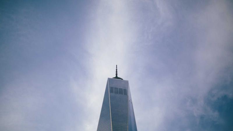 认知偏差：为什么我们的大脑会欺骗自己