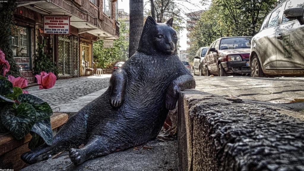 心理韧性：在压力中生长的隐形翅膀